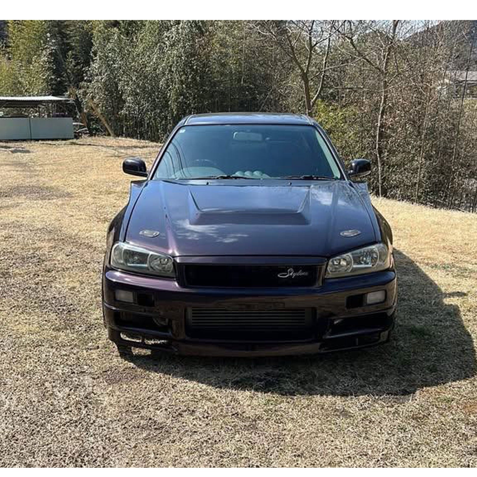 1999 Nissan Skyline R34 Midnight Purple GTT
